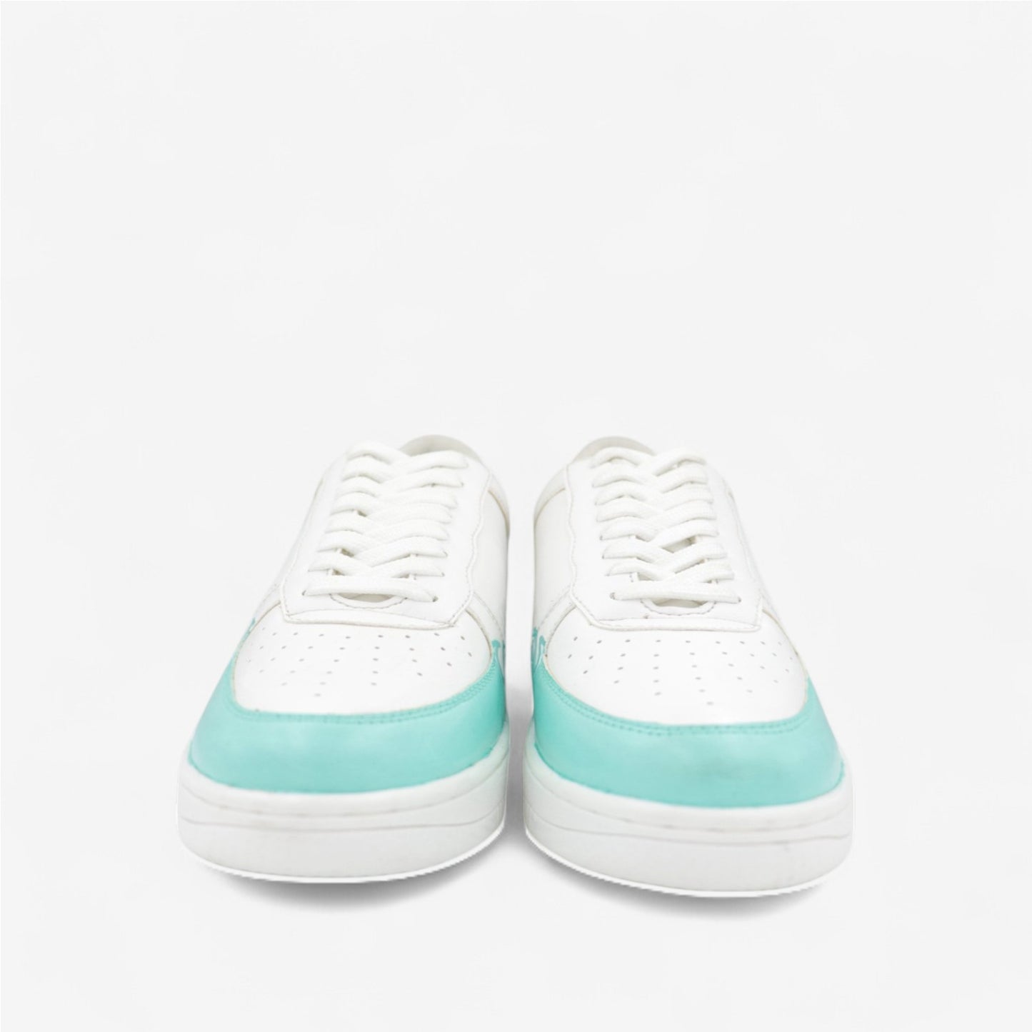 Sea Hook Hand-Painted Edition